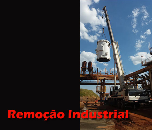 Mardel-remoção-industrial